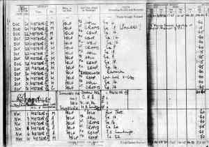 Swineylogbook Mick Swiney's flying logbook entry (M.Swiney)